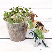 Load image into Gallery viewer, Build Your Own Dinosaurs - Set of 8